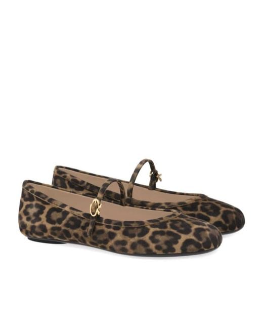 Gianvito Rossi Brown Carla Leopard-Pattern Buckle-Strap Ballerina Shoes