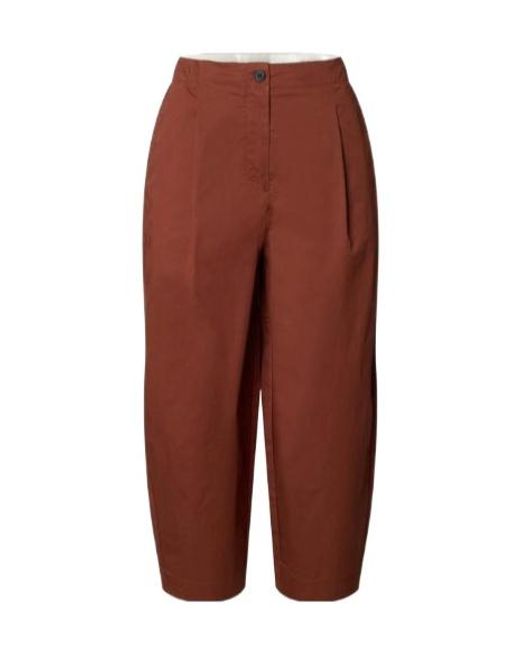 SELECTED Brown Trousers
