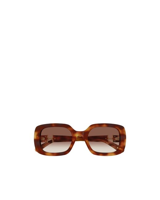 Chloé Brown Chloé Eyewear Square Frame Sunglasses