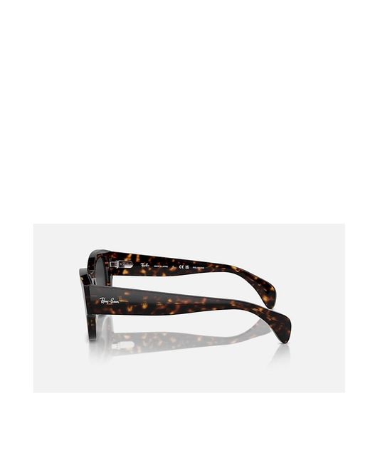 Ray-Ban Multicolor Full-Frame Sunglasses
