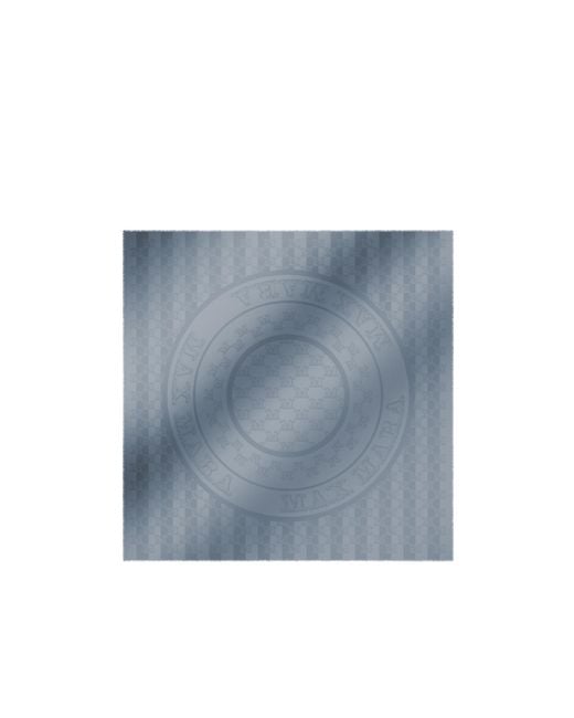 Max Mara Blue Jacquard Silk And Wool Shawl