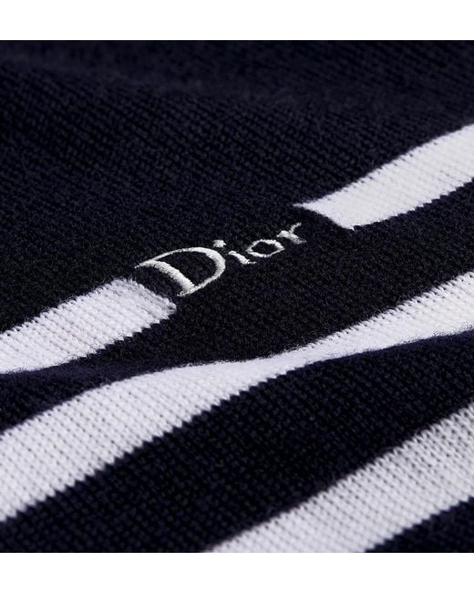 Dior Blue Striped Sweater for men