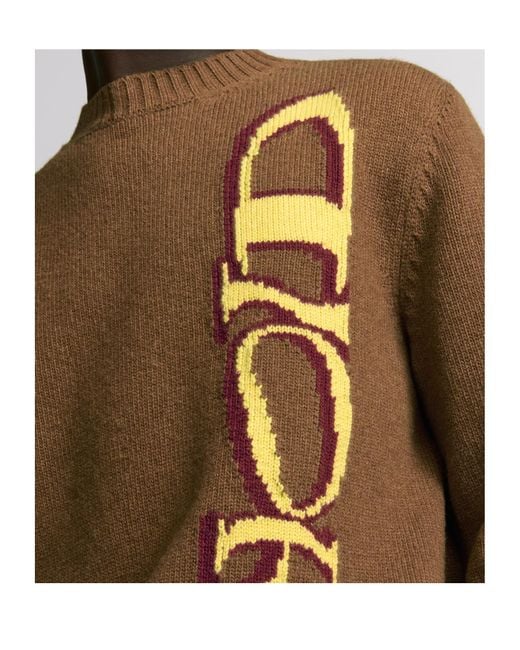 Dior Brown And Lewis Hamilton Sweater for men