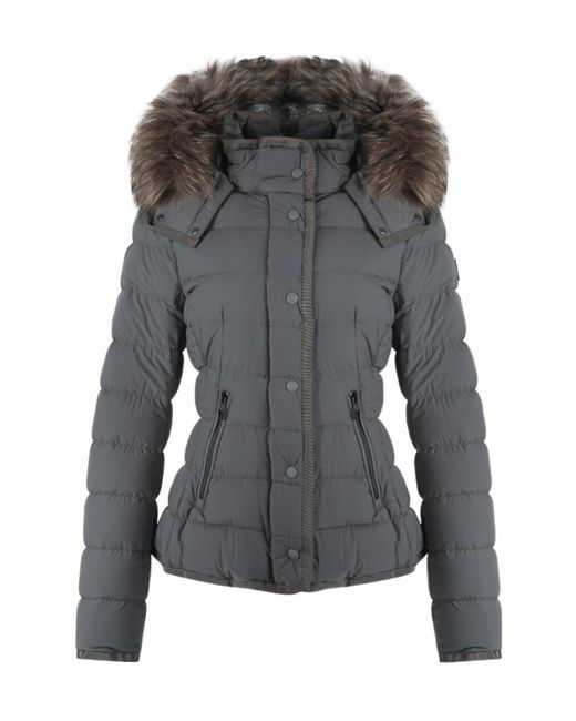 Montecore Gray Hooded Down Jacket