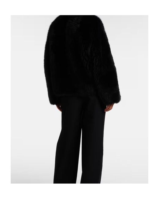 Joseph Black Gomez Fur