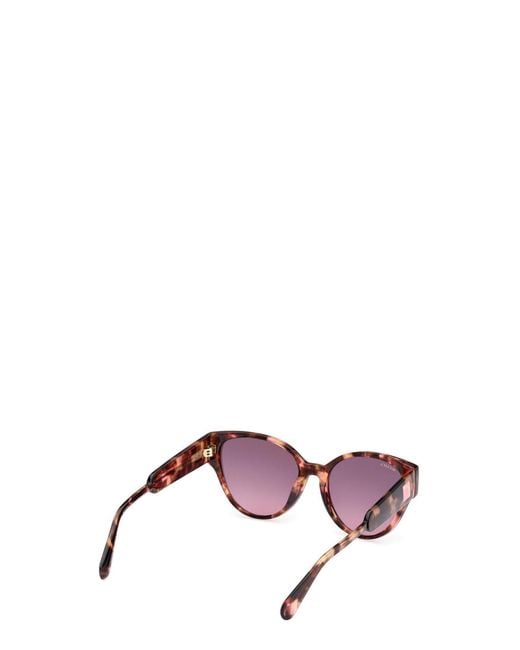 MAX&Co. Purple Full Frame Sunglasses