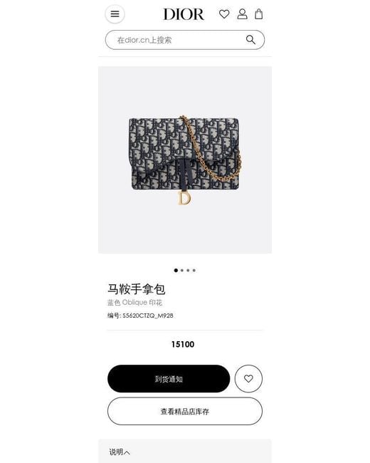 Dior Black Saddle Pouch