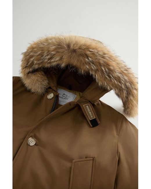 Woolrich Brown Arctic Hooded Parka for men