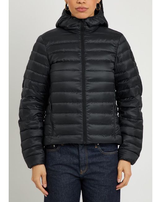 Canada Goose Black Light Down Coat