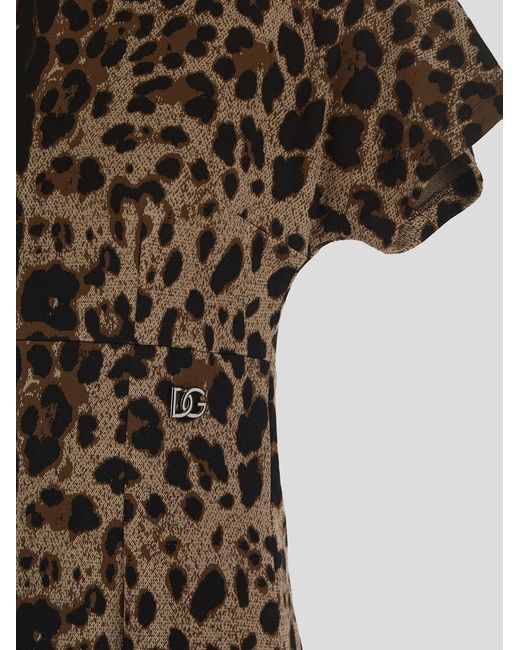 Dolce & Gabbana Multicolor Leopard Printed Mini Dress