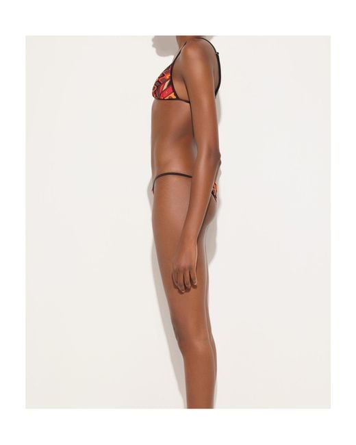 Emilio Pucci Brown Pucci Vivara Triangle Bikini Top Beachwear