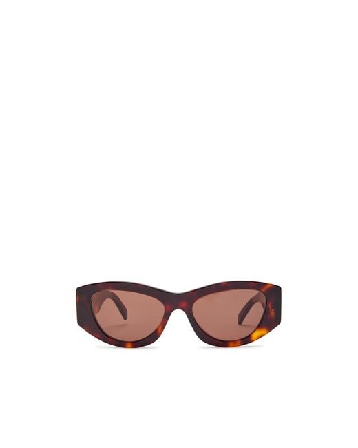 Céline Multicolor Leopard-Print Sunglasses