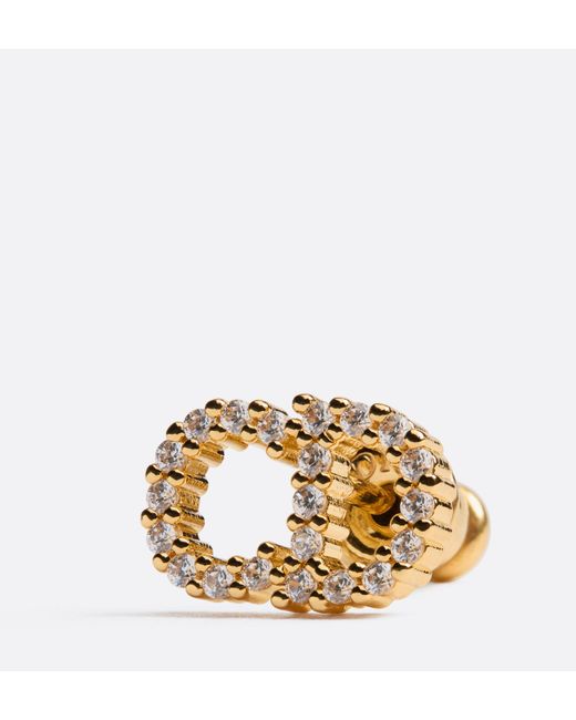 Dior Metallic Clair D Lune Earrings