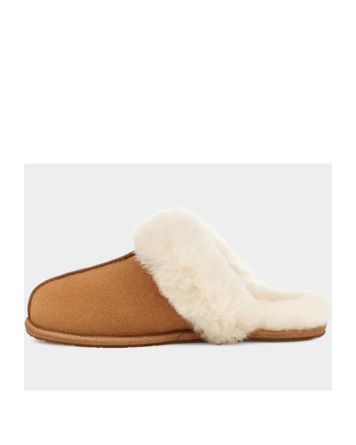 Ugg Brown Round Head Slippers