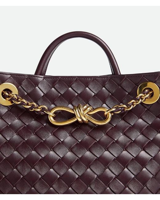 Bottega Veneta Purple Small Andiamo Chain