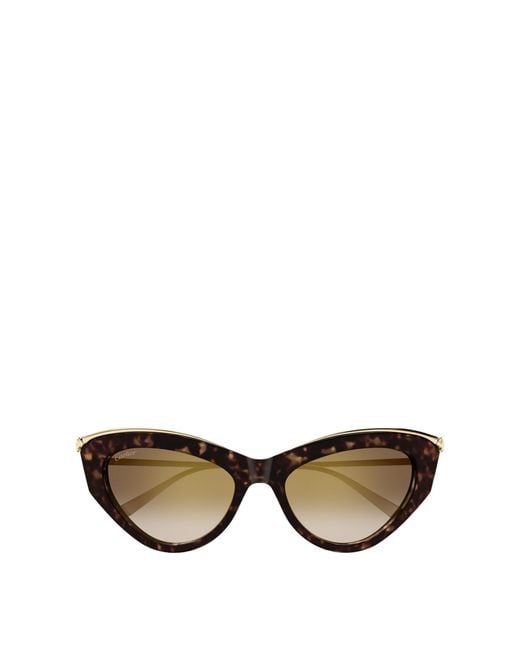 Cartier Multicolor Cat-Eye Sunglasses