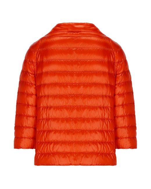 Herno Gray Reversible Buttoned Padded Jacket