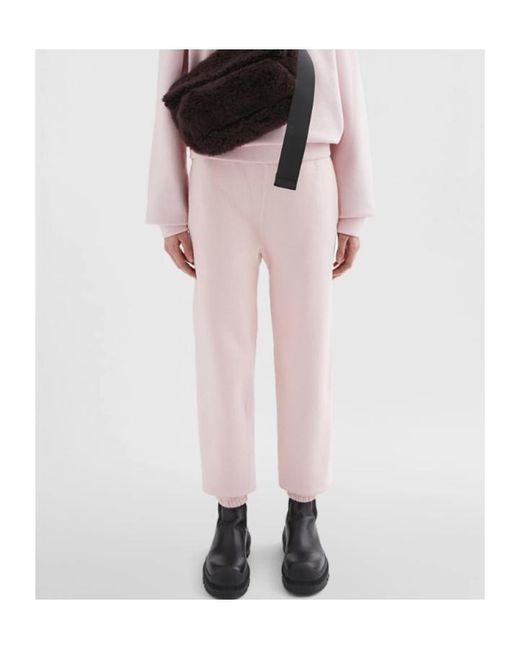 Jil Sander Pink Cotton Terry Track Pants