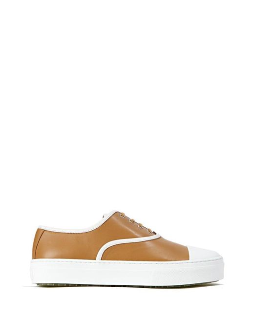Céline Multicolor Lace-Up Sneakers