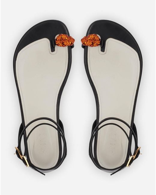 Lanvin White Logo Flat Sandals