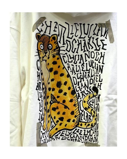 CHARLIE LUCIANO Gray Printed Sweater for men