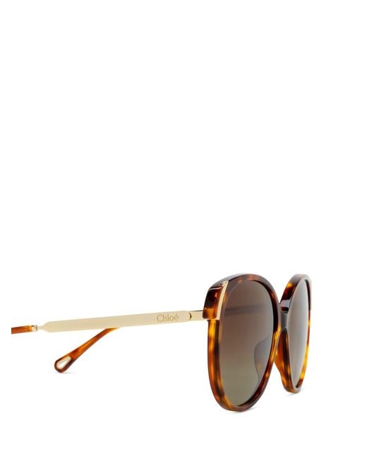Chloé Brown Sunglasses