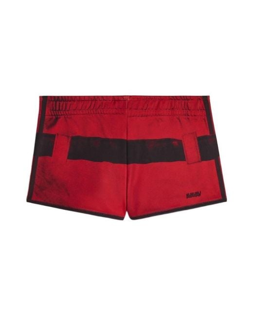 Adidas Originals Gray X Avavav Trefoil Shorts
