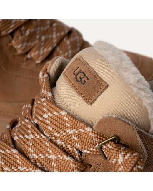 Ugg Brown Lowmel Lace-Up Sneakers for men