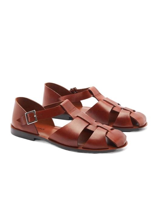 Scarosso Brown Apollo Buckle-Fastened Sandals for men