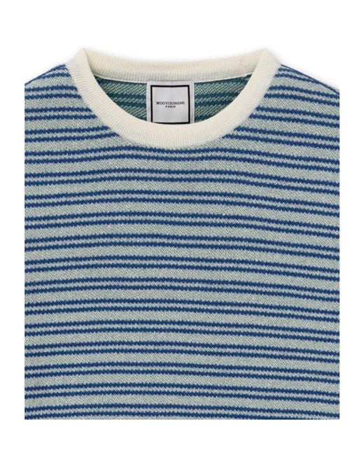 Wooyoungmi Blue Striped Knit Sweater for men