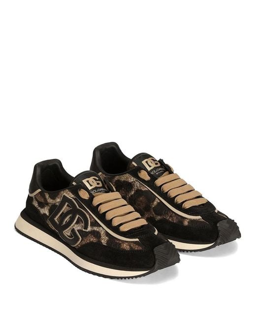 Dolce & Gabbana Black Leopard Printed Dg Cushion Sneakers