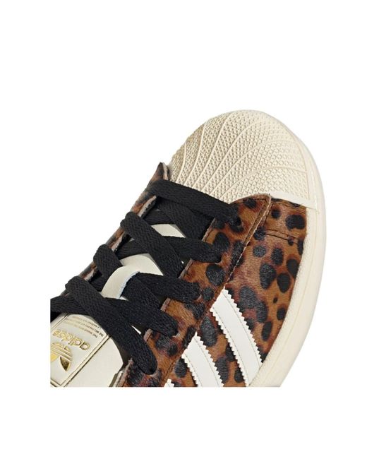 Adidas Originals Brown Superstar Ii Shoes