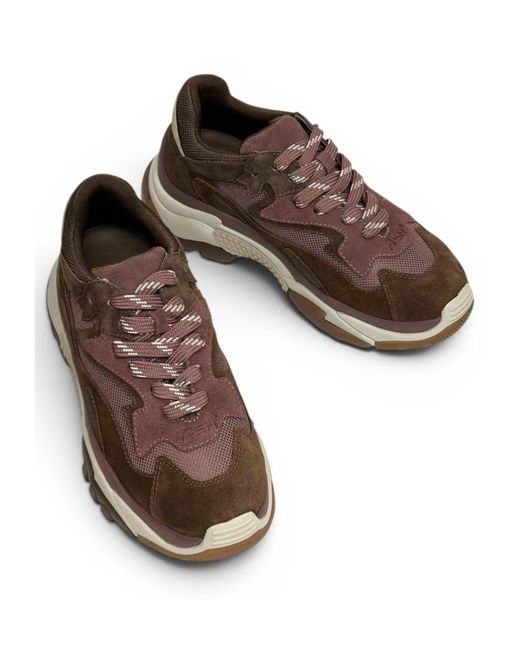 Ash Brown Round-Toe Sneakers
