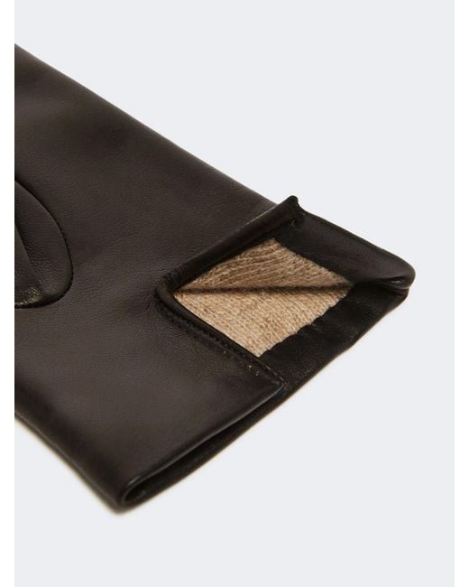 Max Mara Black Five-Finger Gloves