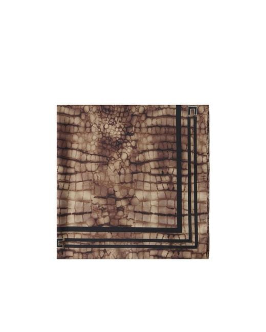 Elisabetta Franchi Brown Patterned Scarf