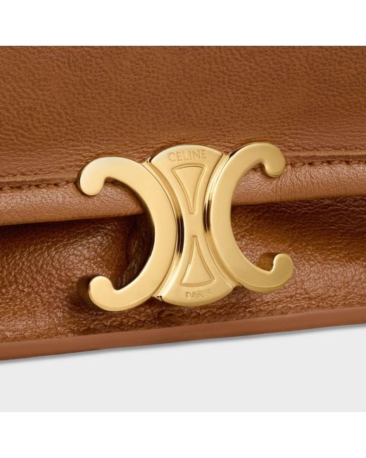 Céline Brown Soft Triomphe Besace