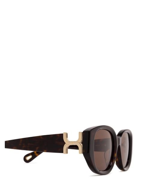 Chloé Brown Chloé Eyewear Oval-Frame Sunglasses