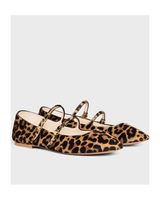 Céline Brown Les Ballerines Double Strap Ballerina