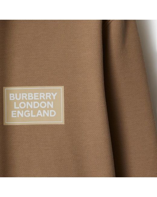 Burberry Brown Hooded Long-Sleeved Sweater for men