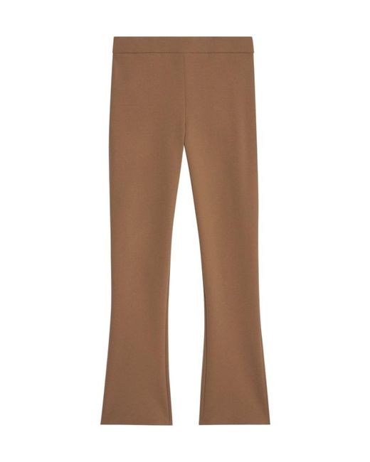 Theory Brown Elastic Waist Casual Pants
