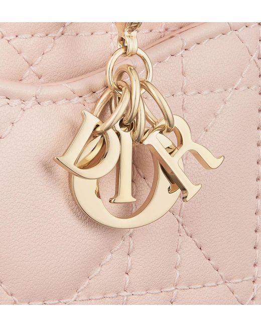 Dior Pink Cosmos Zipper Card Bag