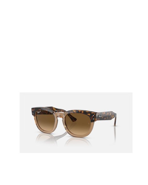 Ray-Ban Multicolor Full Frame Sunglasses