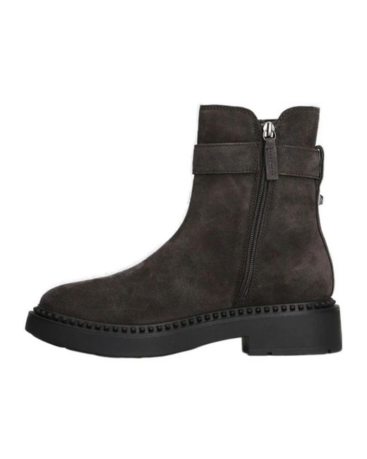 Ash Black Buckle Ankle Boots