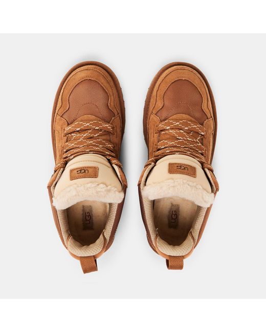 Ugg Brown Low-Top Sneakers for men
