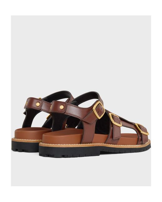 Céline Brown Mino Sandal