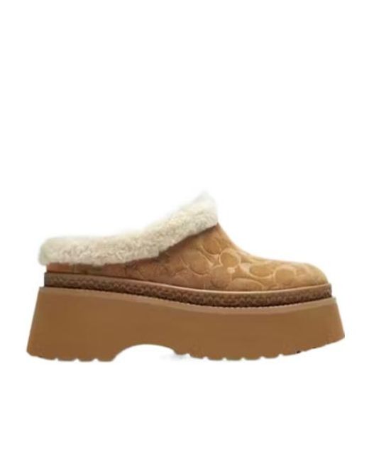 COACH Brown Logo Signature Cecelia Clogs