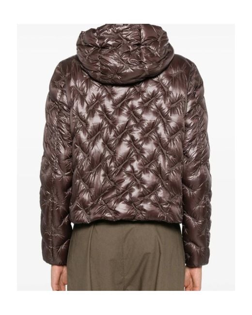 Herno Brown Quilted Cotton Jacket