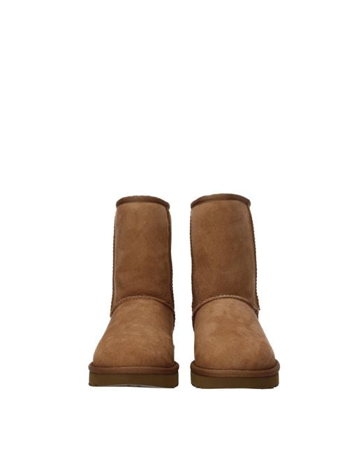 Ugg Brown Classic Short Ii Boots