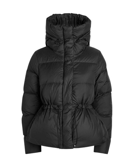 Canada Goose Black Montgomery Padded Shell Coat