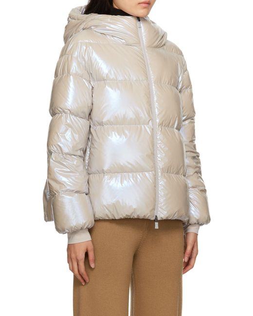 Herno Gray Padded Zipped Jacket